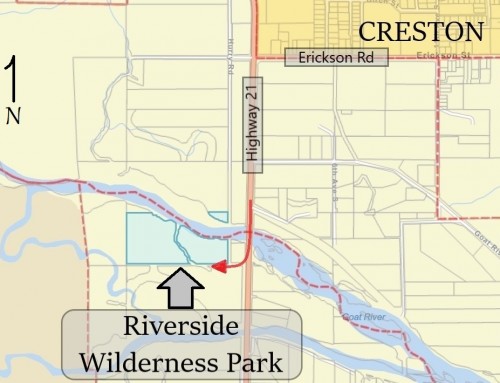 Riverside Wilderness Park Update – August 2020